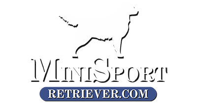 MiniSportRetriever.com
